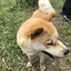 タクのプロフィール画像