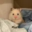 あいりのプロフィール画像