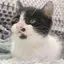 めぐみのプロフィール画像