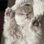 ＾＾のプロフィール画像