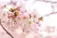 aのプロフィール画像
