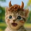 玲子のプロフィール画像