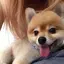 るるのプロフィール画像