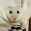 あべべのプロフィール画像