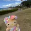 mのプロフィール画像