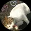 りえなのプロフィール画像