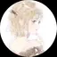 ゆゆのプロフィール画像