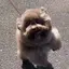 マキノのプロフィール画像