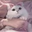 みにゃのプロフィール画像