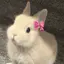 Rのプロフィール画像