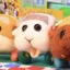 シロモのプロフィール画像
