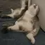 さっちゃんのプロフィール画像