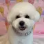 んのプロフィール画像