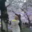 桃雛のプロフィール画像