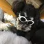 ふーのプロフィール画像