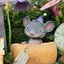 チーズのプロフィール画像