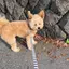 むうのプロフィール画像