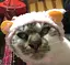ゆうきのプロフィール画像