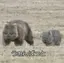 ボブのプロフィール画像