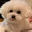 YUNAのプロフィール画像