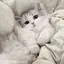なちゃんのプロフィール画像