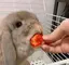シダクのプロフィール画像