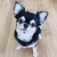 ちぇるんのプロフィール画像