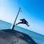 コーキのプロフィール画像
