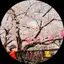 こばのプロフィール画像