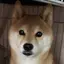 さおりんのプロフィール画像