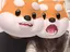 新奈のプロフィール画像