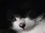 あまかたのプロフィール画像