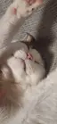 渥美輝のプロフィール画像