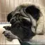 ひろみんのプロフィール画像