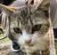 mariのプロフィール画像
