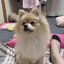なっちゃんのプロフィール画像