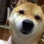 YMのプロフィール画像
