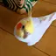 りんごのプロフィール画像