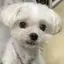 🎀のプロフィール画像