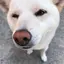 彩のプロフィール画像