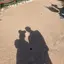 nのプロフィール画像