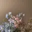 maiのプロフィール画像