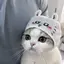 さやのプロフィール画像
