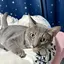 yのプロフィール画像