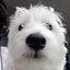 mimi4365のプロフィール画像