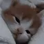 harukaのプロフィール画像