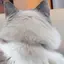 ニャオハのプロフィール画像