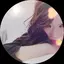 ayakoのプロフィール画像