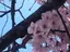 まりなのプロフィール画像
