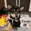 yukiのプロフィール画像